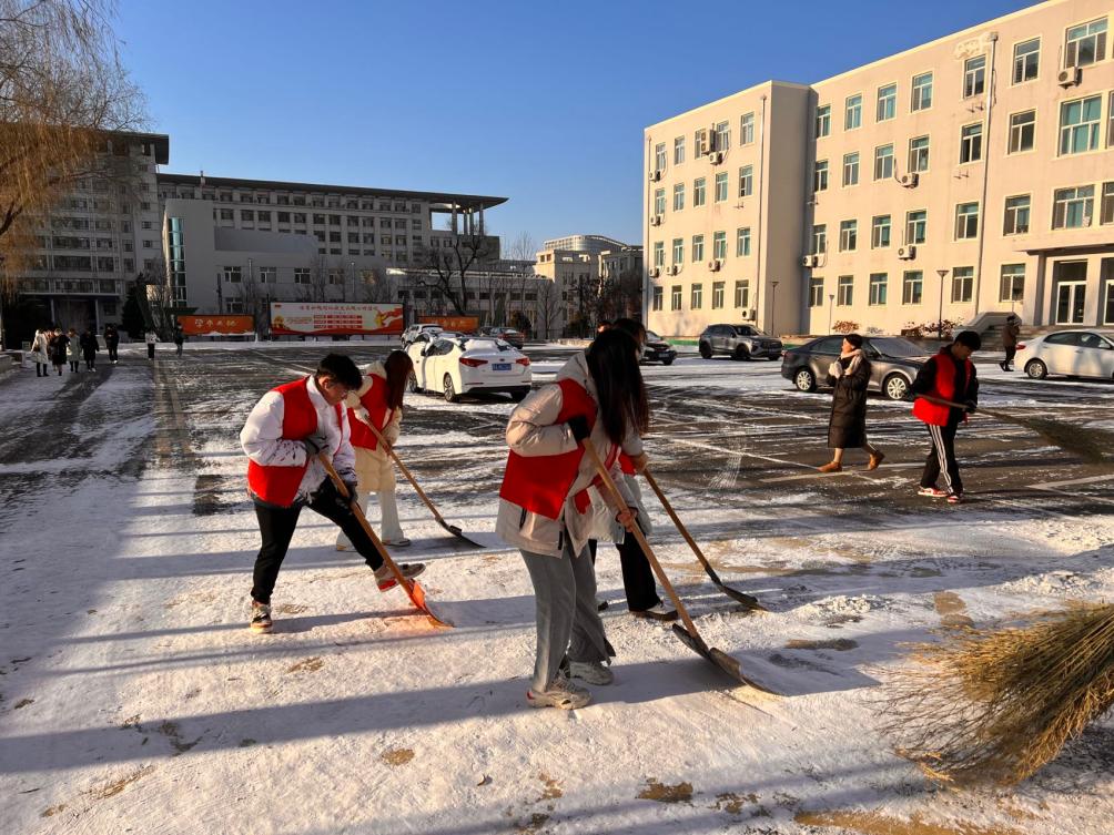 学生清雪照片图片